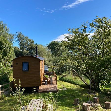 Herdwick Shepherd Hut エクセター エクステリア 写真