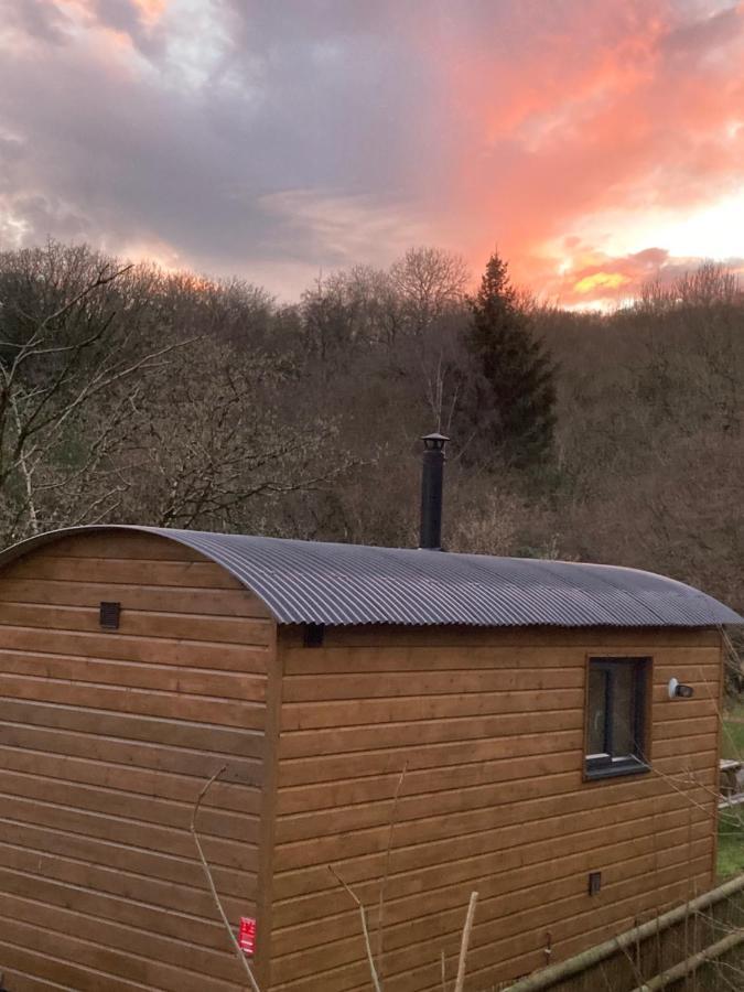 Herdwick Shepherd Hut エクセター エクステリア 写真